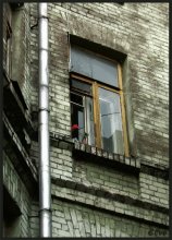 Window (Red Flower) / ***