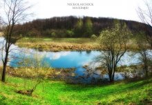 Loshitsa park / ***