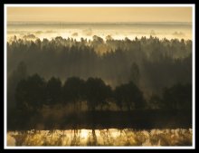Fog / ......