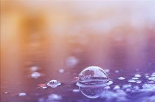 Rain. / http://photoclub.by/work.php?id_photo=169866&ph_id_auth=1988&page=4#t