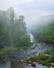......... ......... Nature of Ukraine / ***