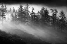 Morgen / ***