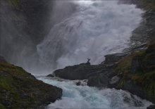 Die Zähmung des Wassers / ***
