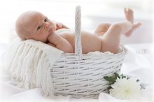 In basket / ***