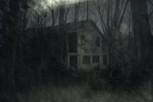 Mysterious Forest / 04/2009