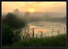 Foggy sunrise. / ***