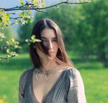 Spring / ++++++++