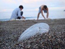 Kemer (wild beach) / ***