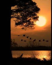 AND WE sometimes lagged behind from the pack ... / ***