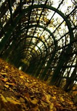 Autumn / ------