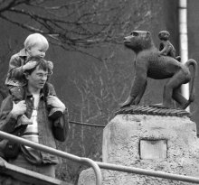 Primates / ***