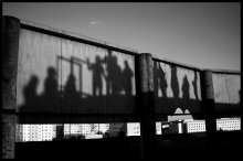 Shadowgraph / ***