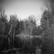 Circle / ***