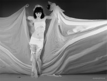 Dasha / ***