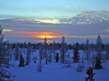 Polar night / ***