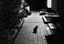 am Eingang / ***
