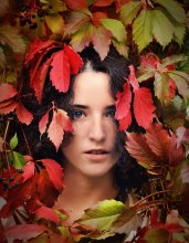 AUTUMN / ............