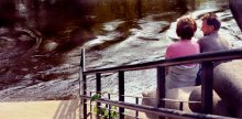 Moments of happiness ... / .............