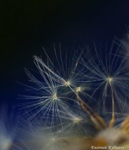 Night air / ***