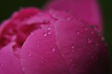 Tears are fallin'..... / http://www.youtube.com/watch?v=4yNMM11VpxY