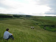 Native open spaces / ***