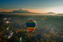 Morning flight / ***