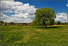 The first day of summer. / ***