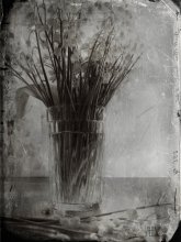 lilies / ***********