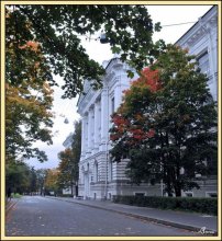 Universität / ***