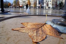 Tears of autumn-2 / ***