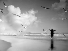 like a bird / ***