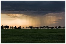 Rain and sun / ***