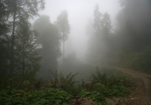 Somewhere over Gagra / ***
