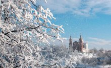 Memories of winter / ***