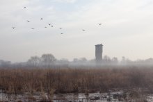 Mnevniki / ***