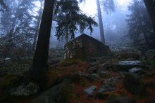 Witch's House / ***