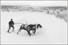 Northern expanse / ***