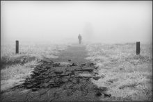 Outsider / ...............