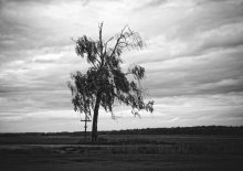 sadness and loneliness / ***