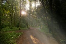 Walk in the Woods / ***