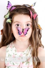 Butterflies / ***