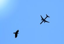 Meeting in the sky / ***