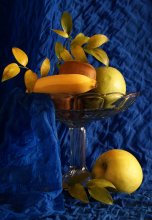Still life / ***