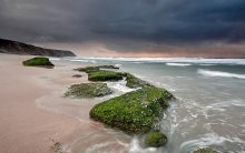 Before the storm / ***