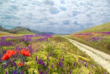 Spring invites the road ... / ***