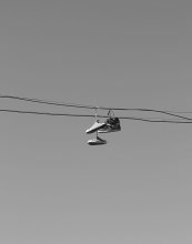 Sneakers / ++++++