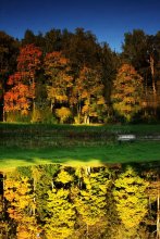 Autumn / No comments.