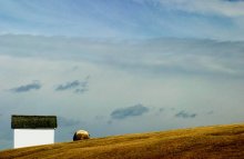 Montauk Point / Very end of Long Island, NY