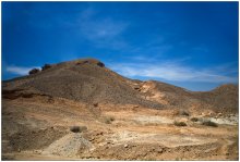 Desert / ***