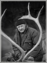 Shepherd / ***